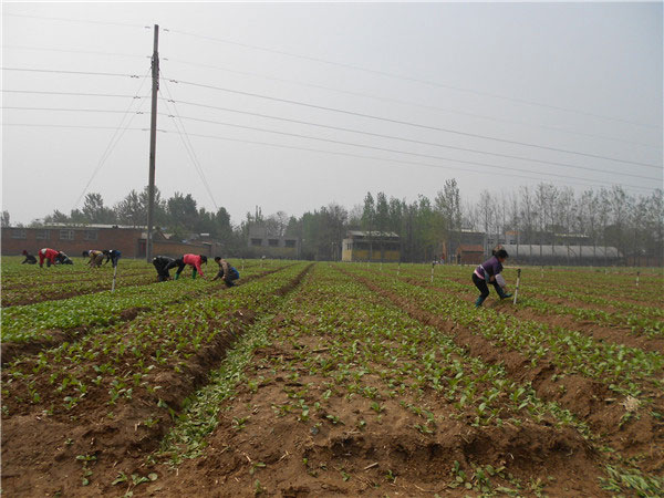 土壤養(yǎng)分速測(cè)儀的速測(cè)方法是什么？