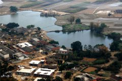 土壤水分對(duì)葉片特性有什么影響？