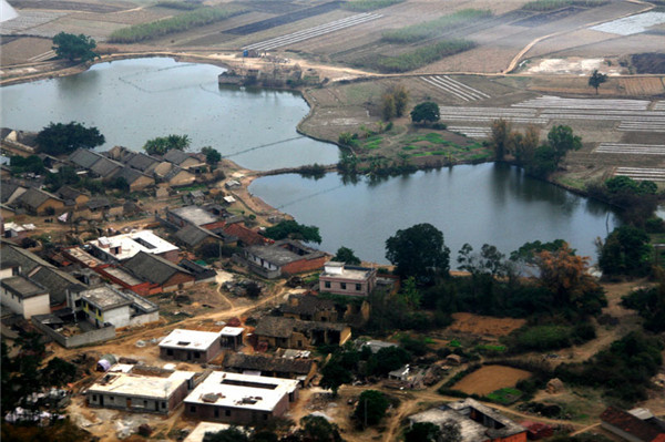 土壤水分對葉片特性有什么影響？