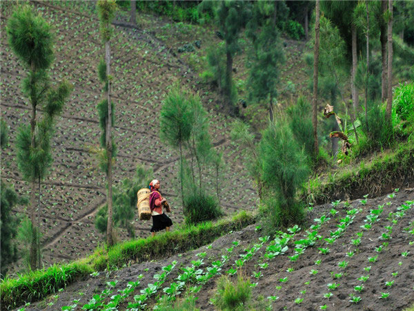 土壤墑情監(jiān)測站可提供全面的信息服務(wù) 土壤墑情監(jiān)測站可提供全面的信息服務(wù)