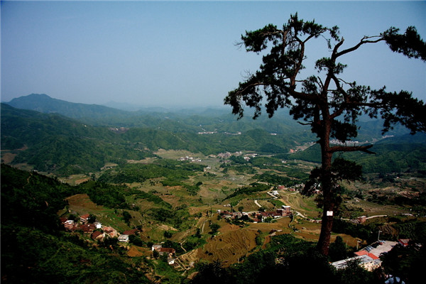 土壤水分速測儀在連翹種植中效果如何？