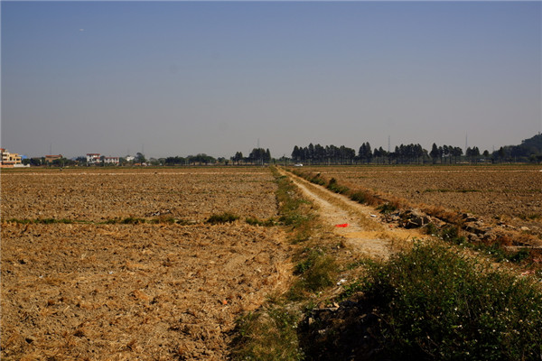 土壤養(yǎng)分速測(cè)儀保障我國耕地質(zhì)量 土壤養(yǎng)分速測(cè)儀保障我國耕地質(zhì)量