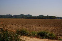 土壤水含量的變化對(duì)植物有哪些影響？