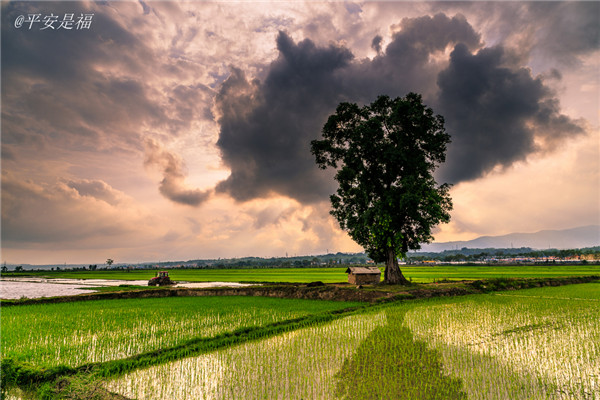 土壤墑情測定儀的適用范圍 土壤墑情測定儀的適用范圍