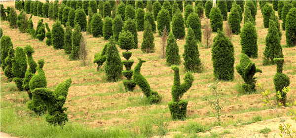 1564647392105242.jpg eb89b64313554b878c937f2a6621d943.jpg