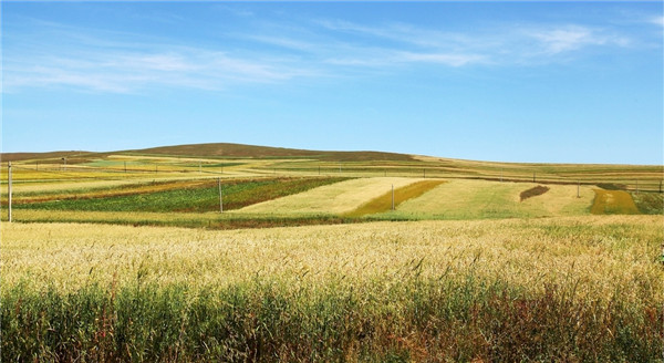 1564647442288829.jpg 20190801_140232_037.jpg