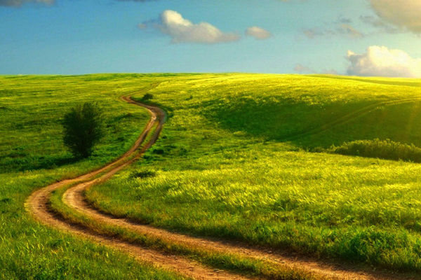 土壤墑情監(jiān)測(cè)系統(tǒng) 土壤墑情監(jiān)測(cè)系統(tǒng)