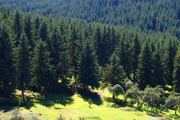 土壤墑情檢測儀 土壤墑情檢測儀