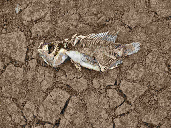 安裝土壤墑情自動監(jiān)測系統(tǒng)的意義在哪里？