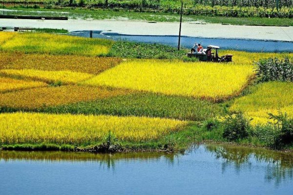 土壤墑情自動監(jiān)測站淺析 土壤墑情自動監(jiān)測站淺析