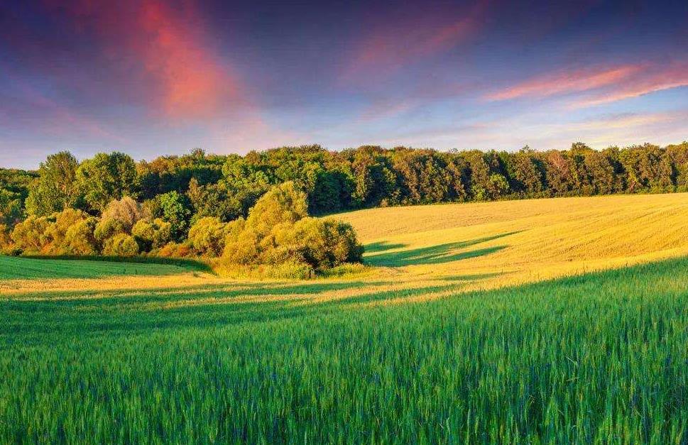 土壤墑情監(jiān)測(cè)系統(tǒng)在旱情分析中的作用 土壤墑情監(jiān)測(cè)系統(tǒng)在旱情分析中的作用