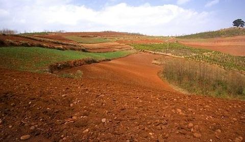 取樣方式不同對土壤墑情監(jiān)測精度有影響嗎？