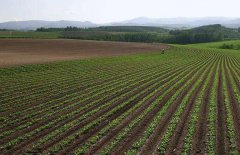 神經(jīng)網(wǎng)絡(luò)法能用于土壤墑情預(yù)測(cè)嗎?