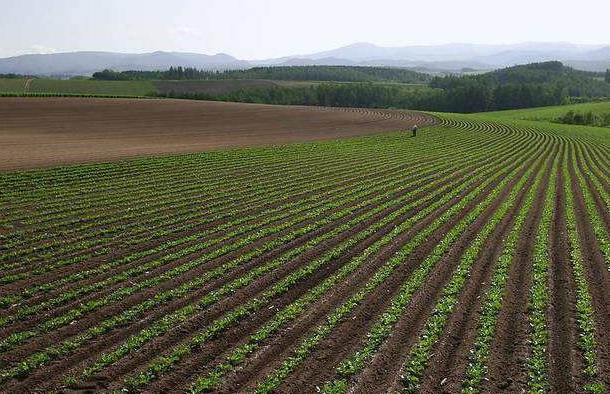 神經(jīng)網(wǎng)絡(luò)法能用于土壤墑情預(yù)測(cè)嗎？