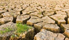 目測土壤墑情？