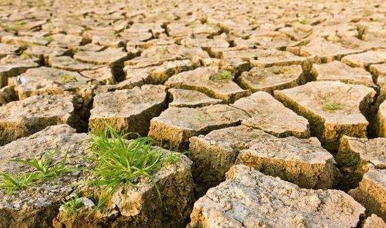 目測土壤墑情？