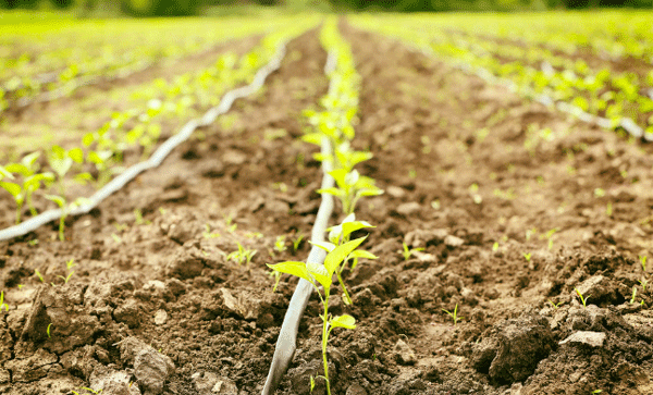 為什么要開展土壤墑情監(jiān)測(cè)工作？