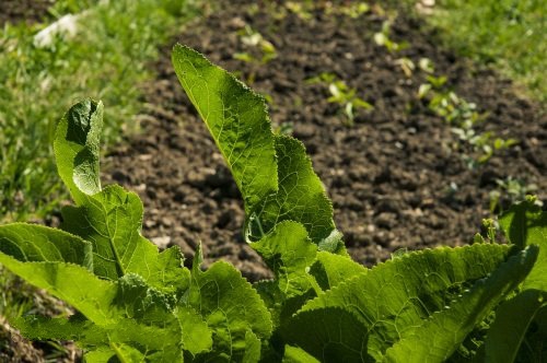 國內(nèi)外墑情監(jiān)測方法 國內(nèi)外墑情監(jiān)測方法