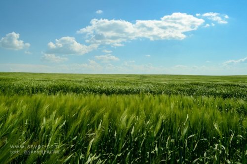 智慧農(nóng)業(yè)帶來了什么？